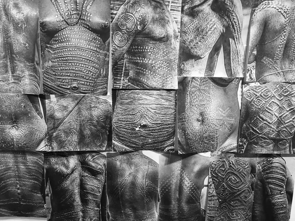 802. That is where, as you heard, the elephant danced the Malinga. The place where they now grow flowers. - Galerie Imane Farès