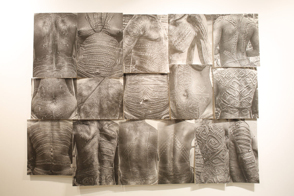 802. That is where, as you heard, the elephant danced the Malinga. The place where they now grow flowers. - Galerie Imane Farès