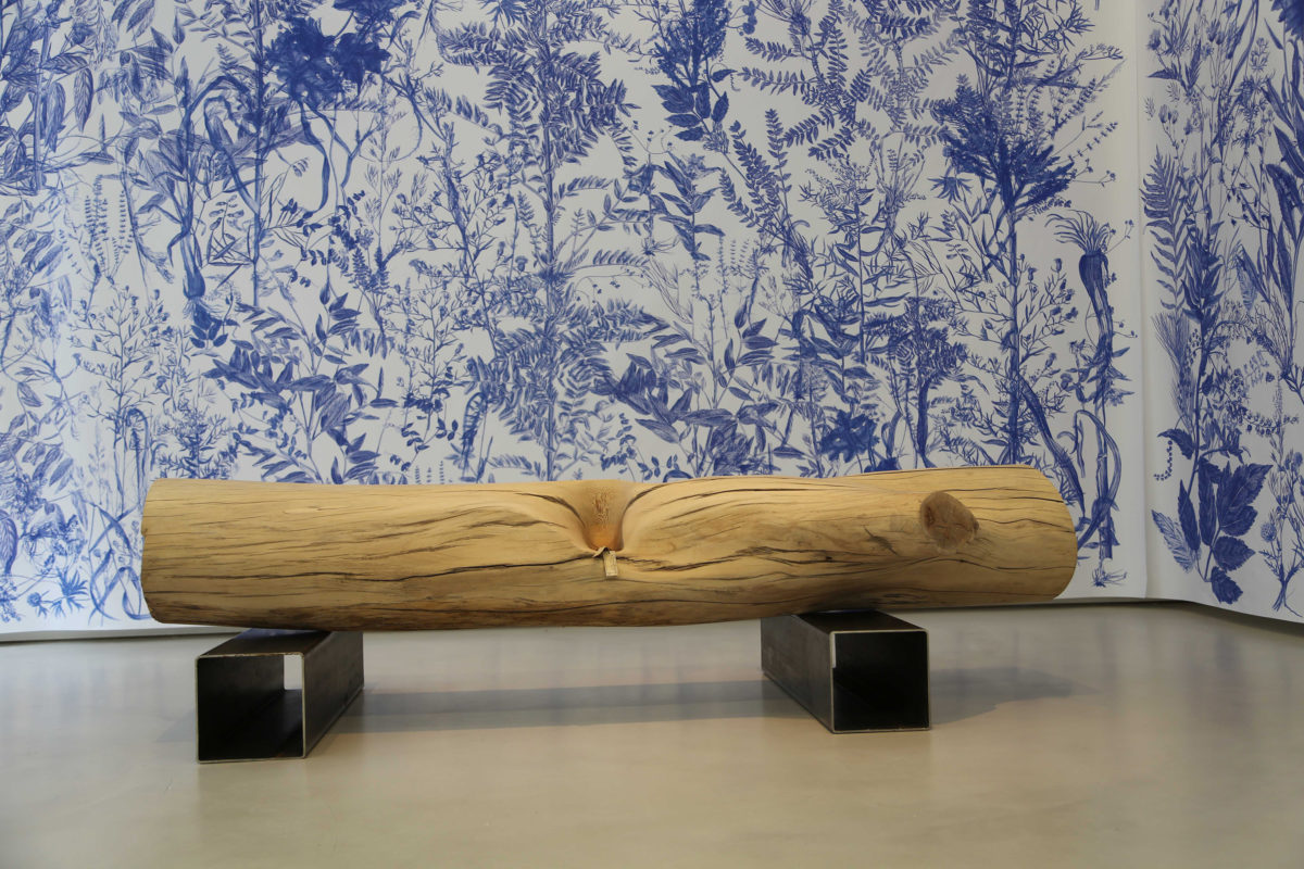 Dénaturé - Galerie Imane Farès