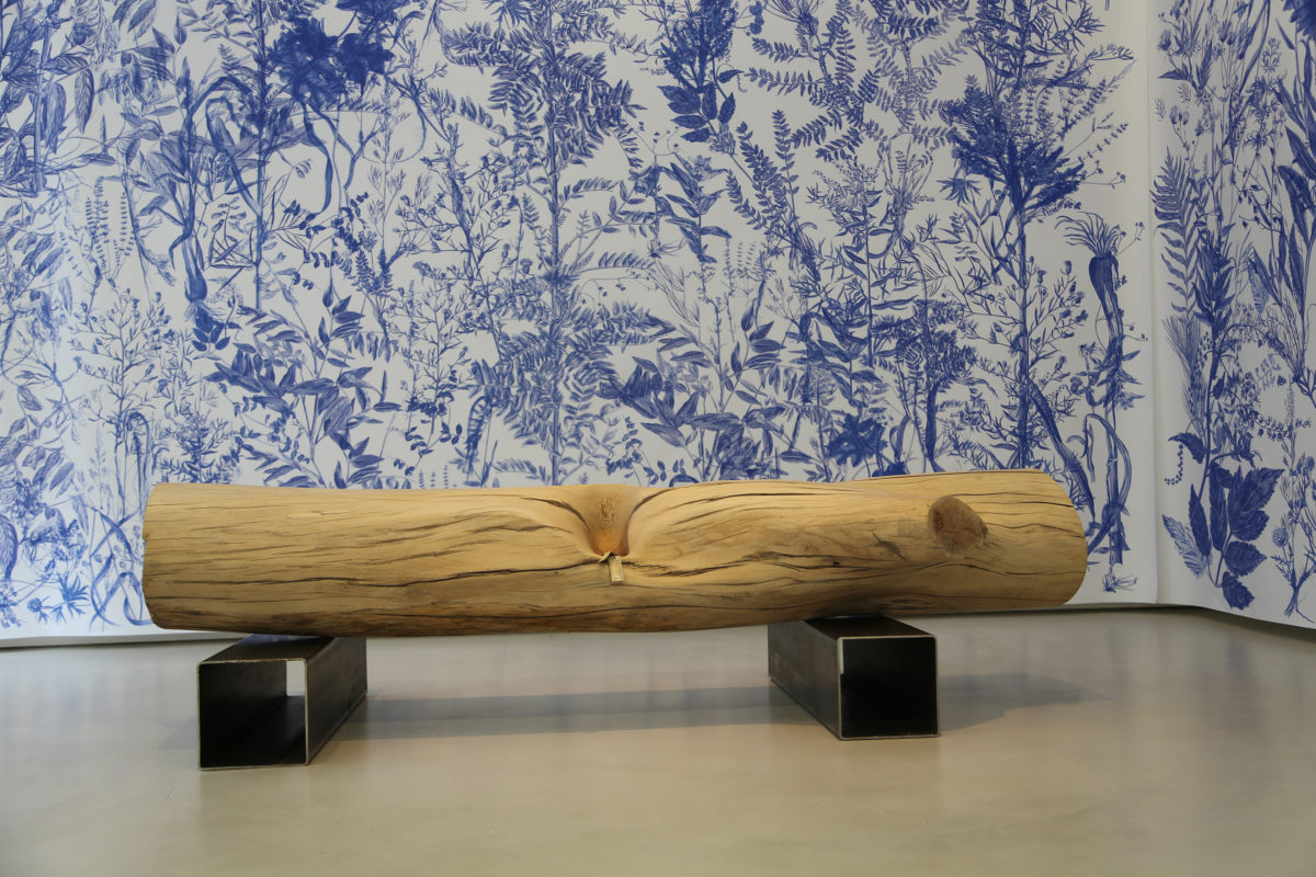 Dénaturé - Galerie Imane Farès