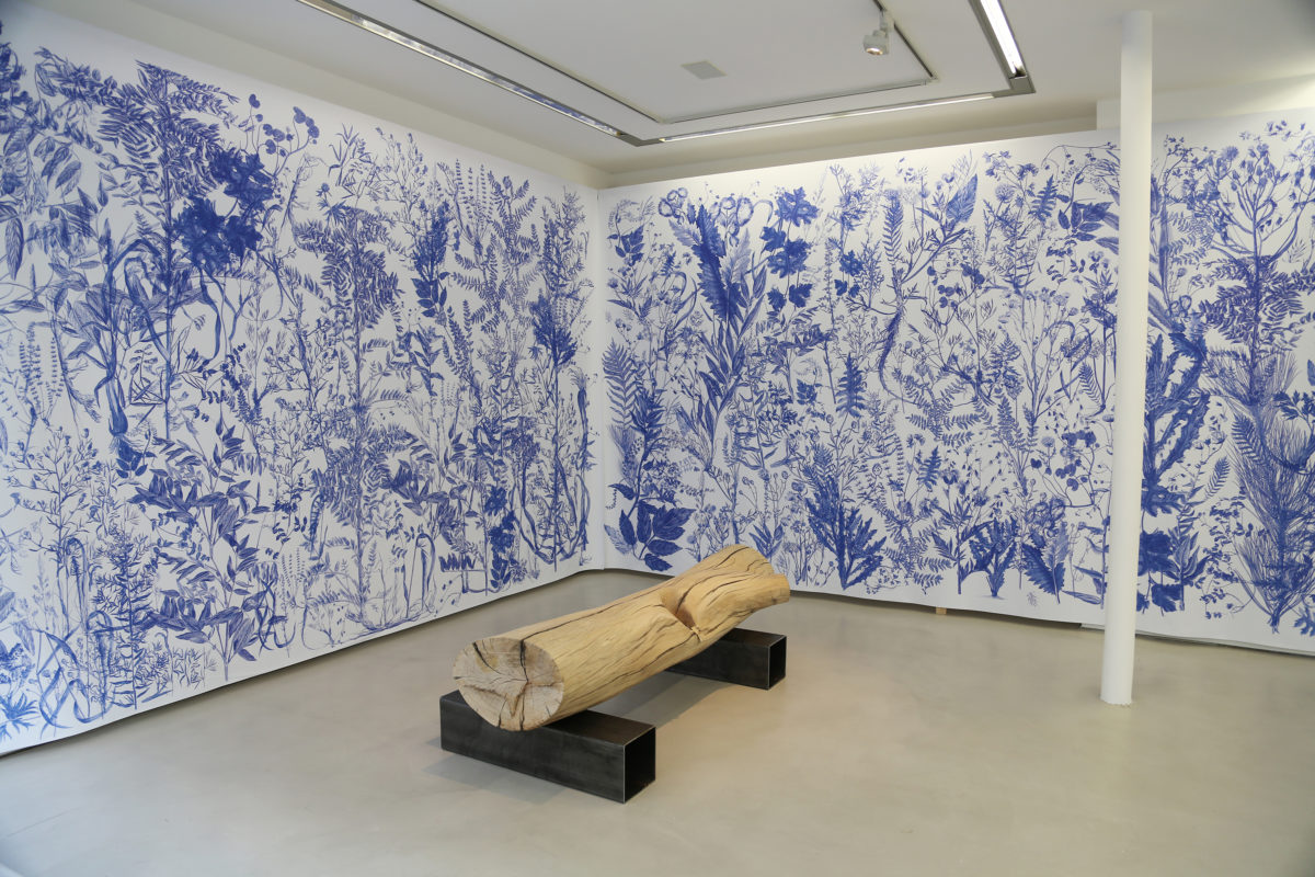 Dénaturé - Galerie Imane Farès