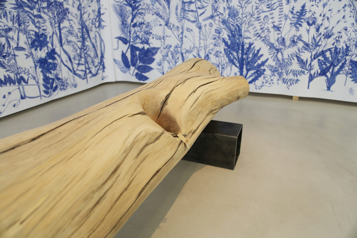 Dénaturé - Galerie Imane Farès