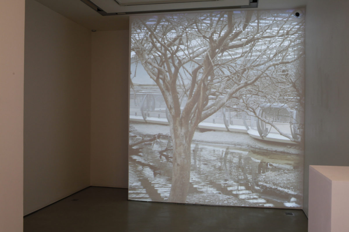 Déserts - Galerie Imane Farès