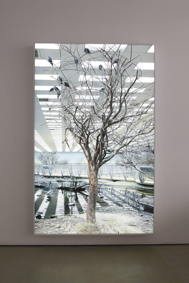 Déserts - Galerie Imane Farès