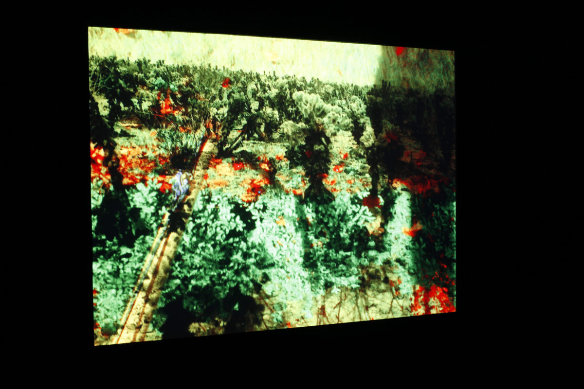 Déserts - Galerie Imane Farès