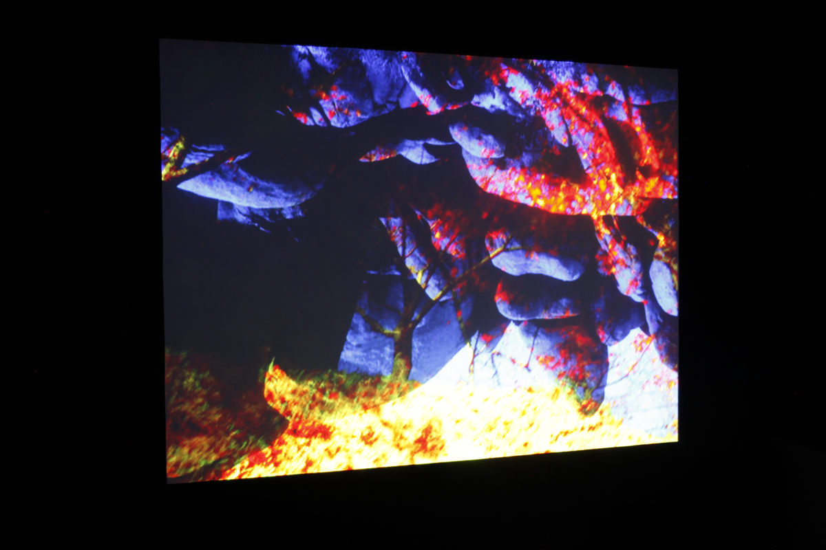 Déserts - Galerie Imane Farès