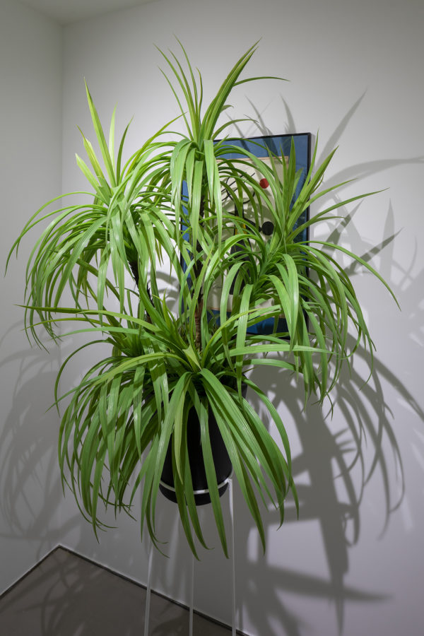 James Webb - Galerie Imane Farès