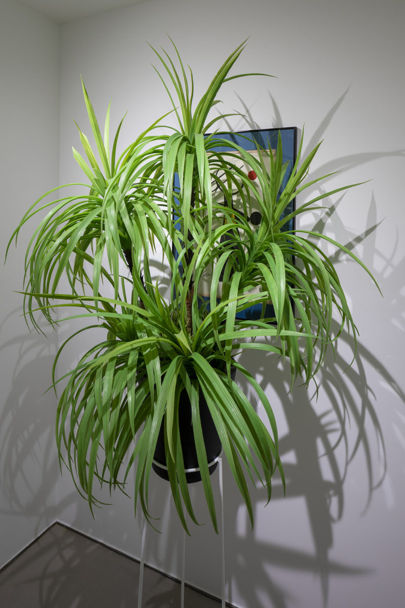 James Webb - Galerie Imane Farès