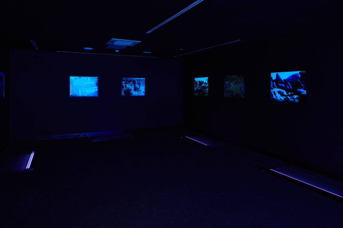 Basma al-Sharif - Galerie Imane Farès