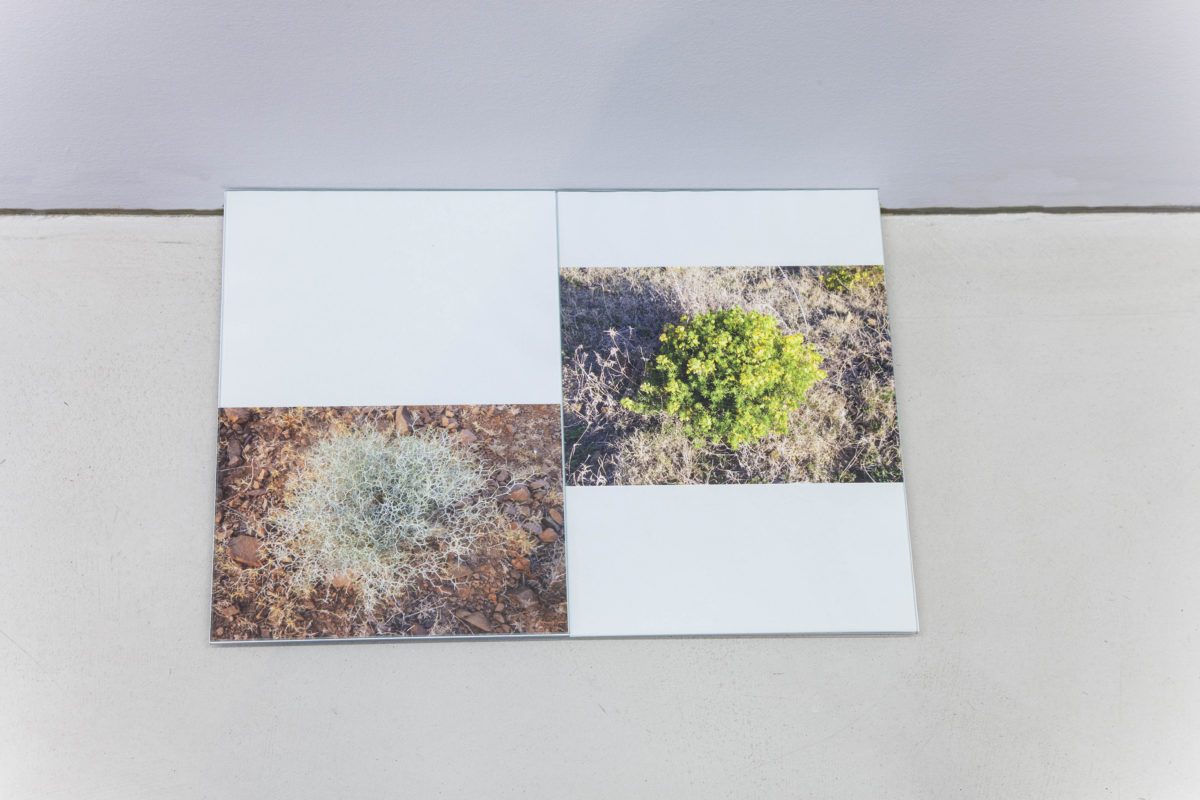 Hijra - Galerie Imane Farès