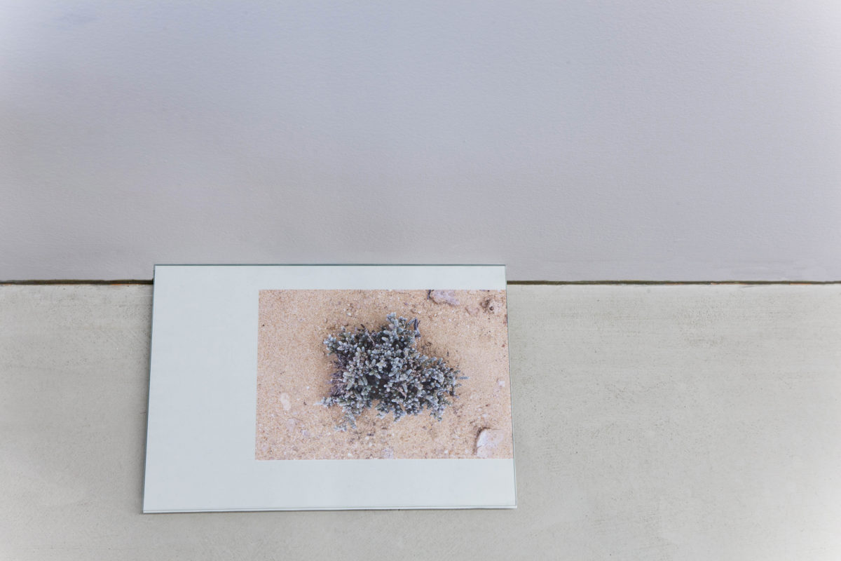 Hijra - Galerie Imane Farès