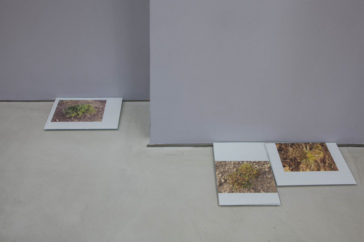 Hijra - Galerie Imane Farès