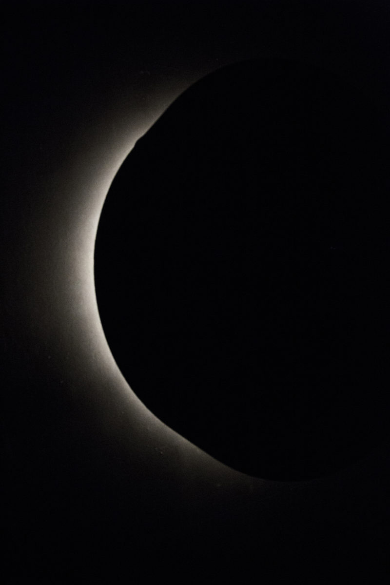 Hope is a good swimmer - Galerie Imane Farès