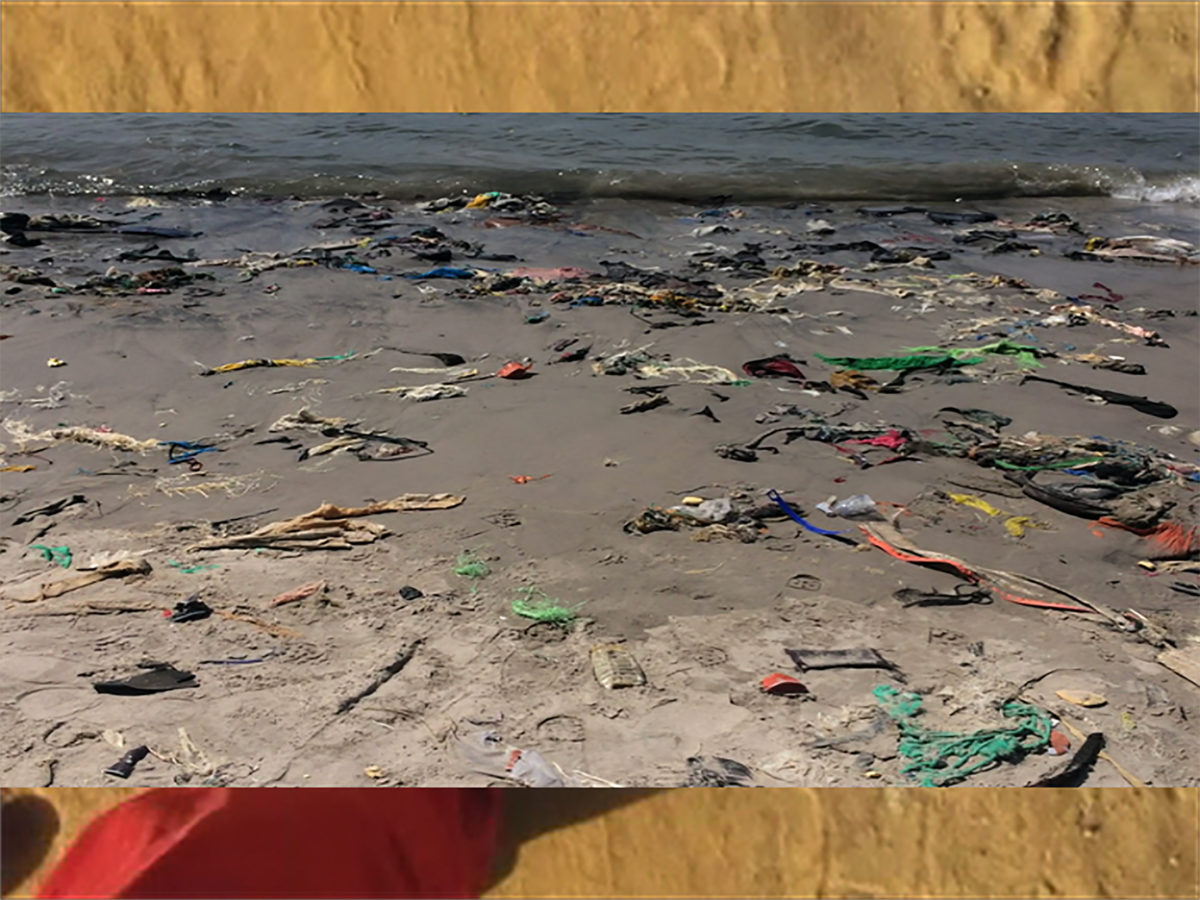 La Quinzaine de la vidéo - Galerie Imane Farès