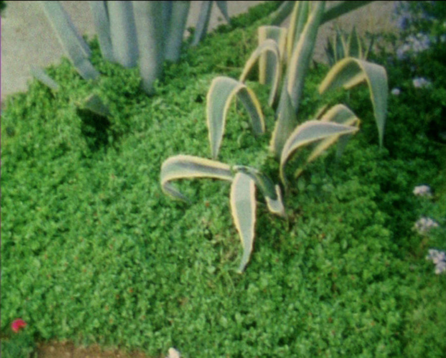 Basma al-Sharif - Galerie Imane Farès