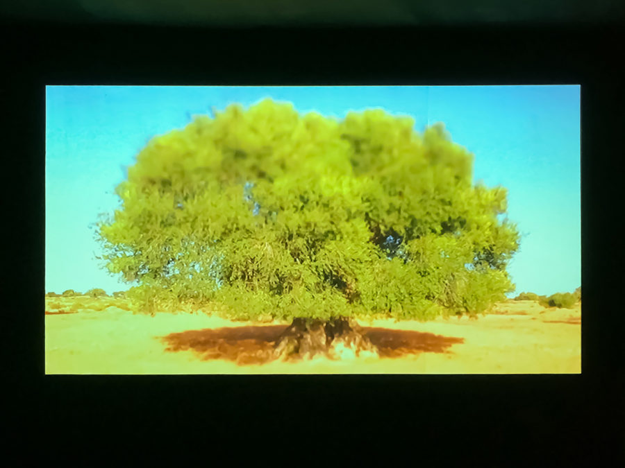 Younès Rahmoun - Galerie Imane Farès