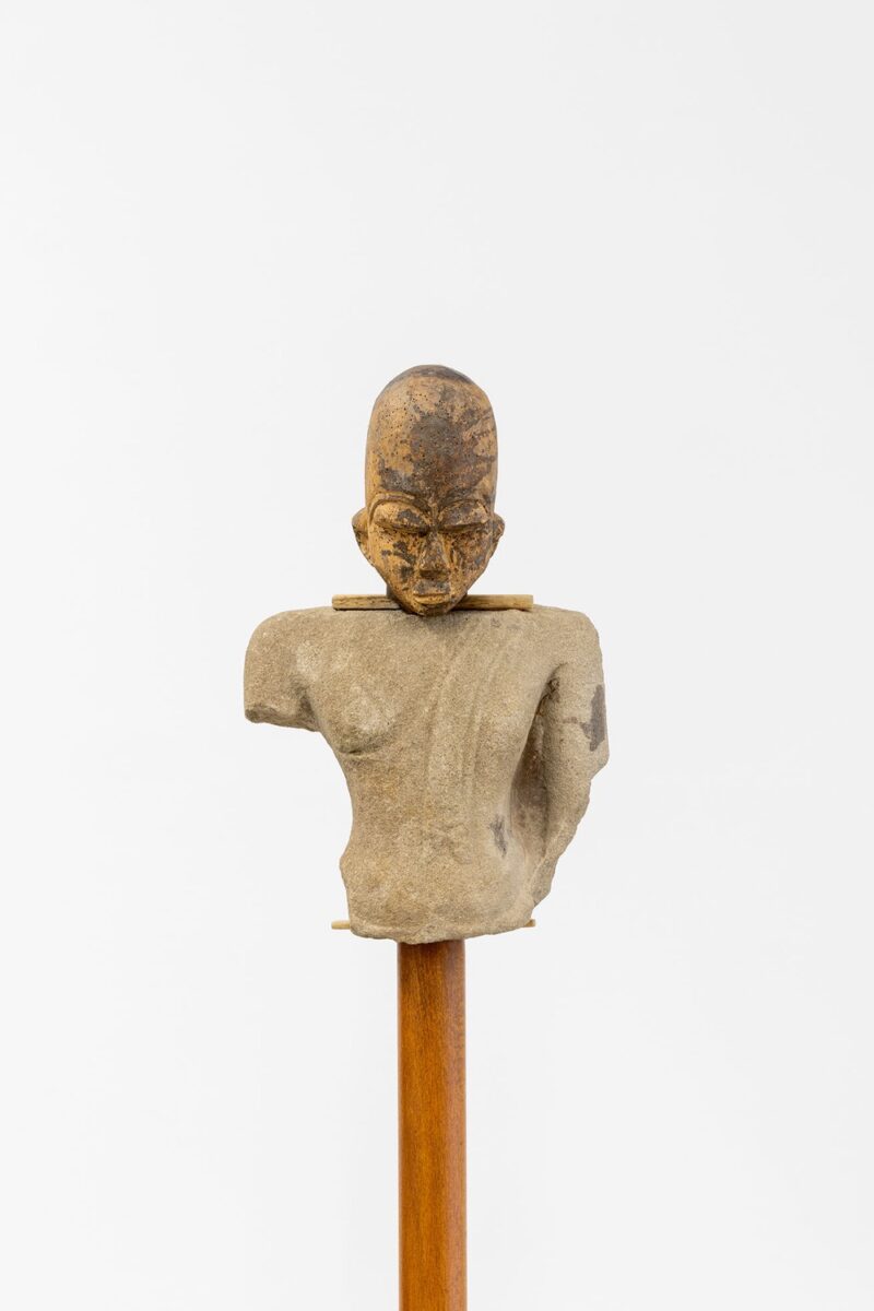 Ali Cherri - Galerie Imane Farès