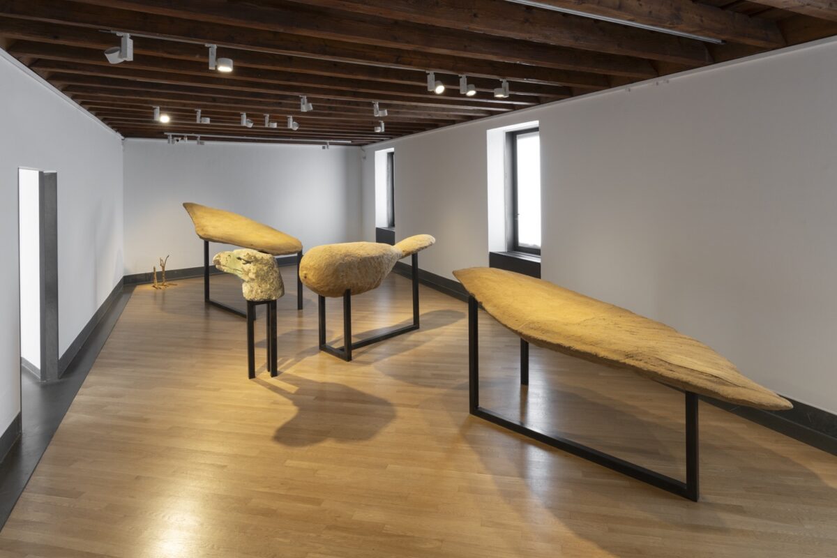 Ali Cherri - Galerie Imane Farès