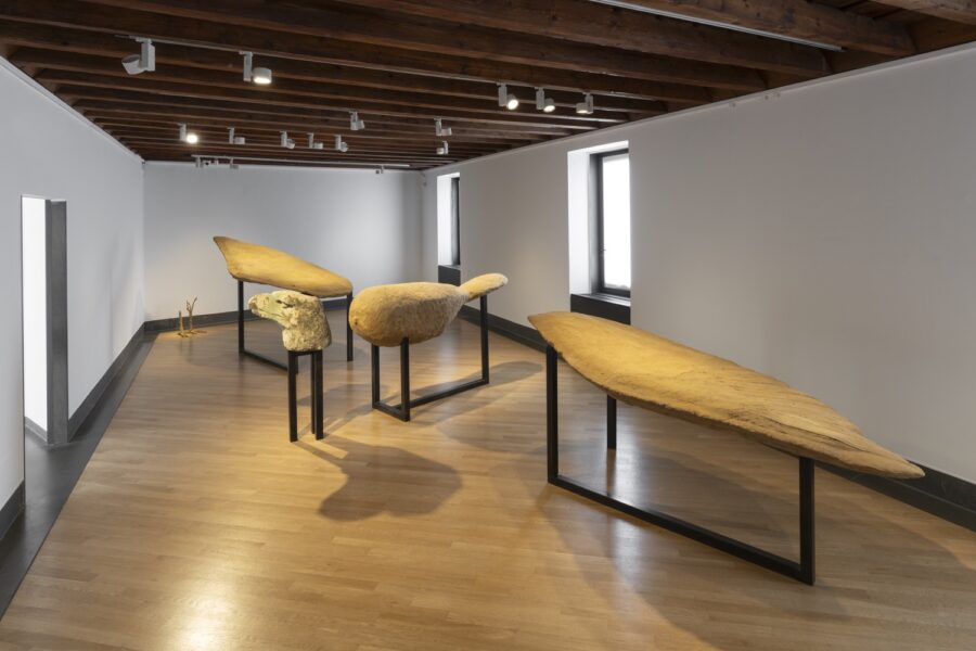 Ali Cherri - Galerie Imane Farès