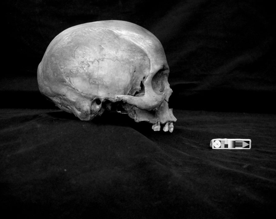 Sammy Baloji - Galerie Imane Farès