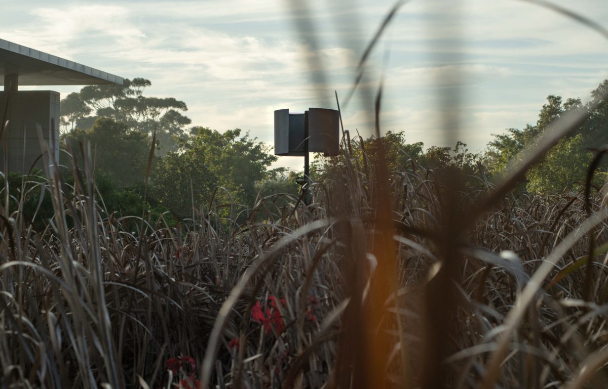 James Webb - Galerie Imane Farès