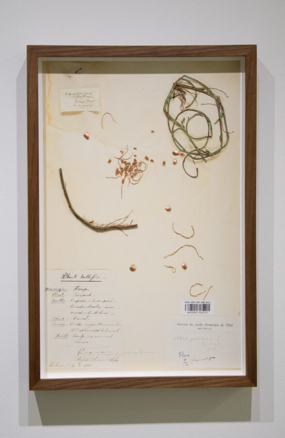 Sammy Baloji - Galerie Imane Farès