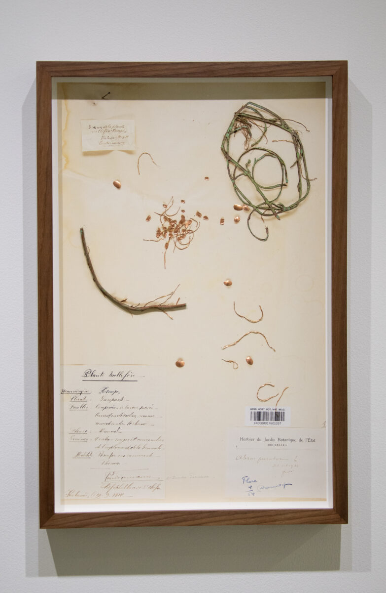 Sammy Baloji - Galerie Imane Farès