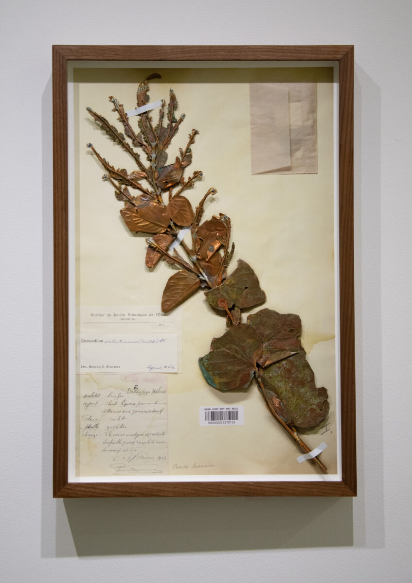 Sammy Baloji - Galerie Imane Farès