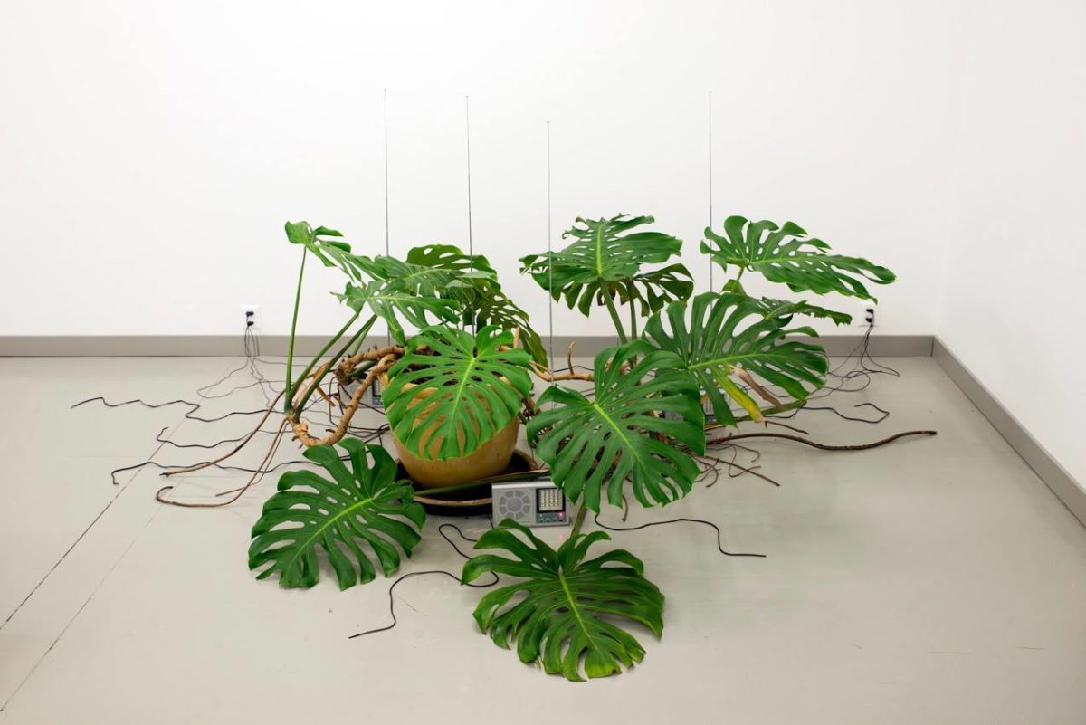 James Webb - Galerie Imane Farès