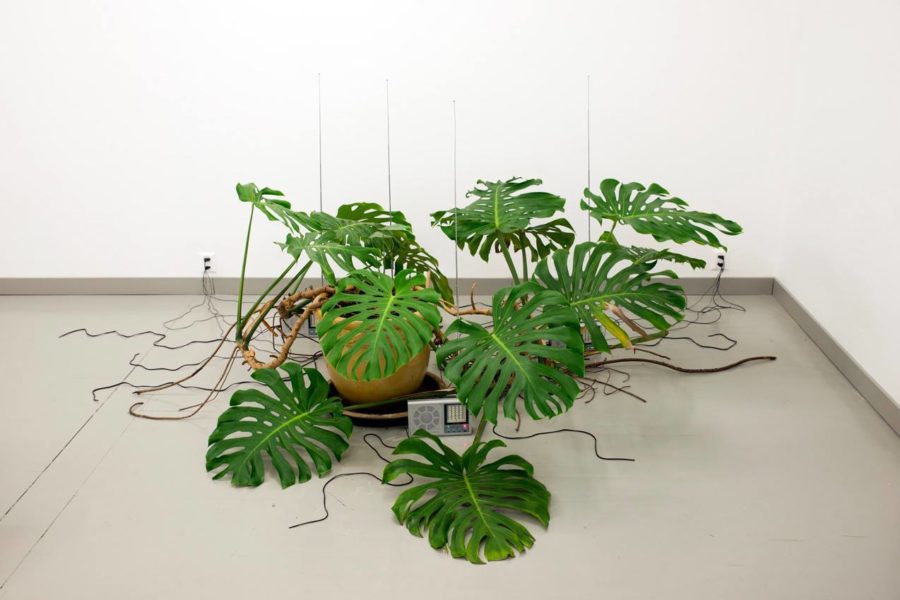 James Webb - Galerie Imane Farès