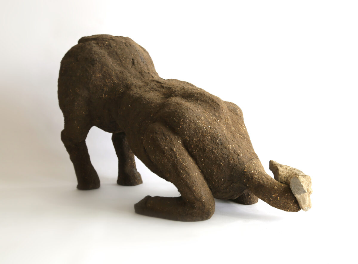 Ali Cherri - Galerie Imane Farès