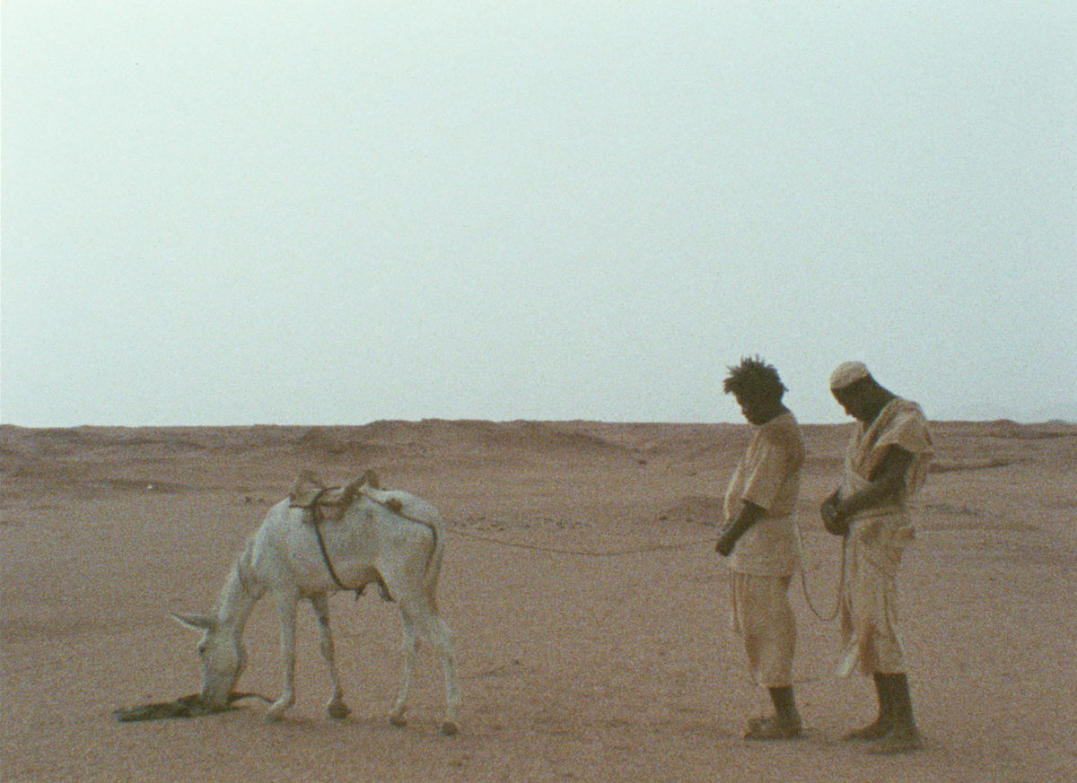 Chaque vertèbre est un soleil éteint - Galerie Imane Farès