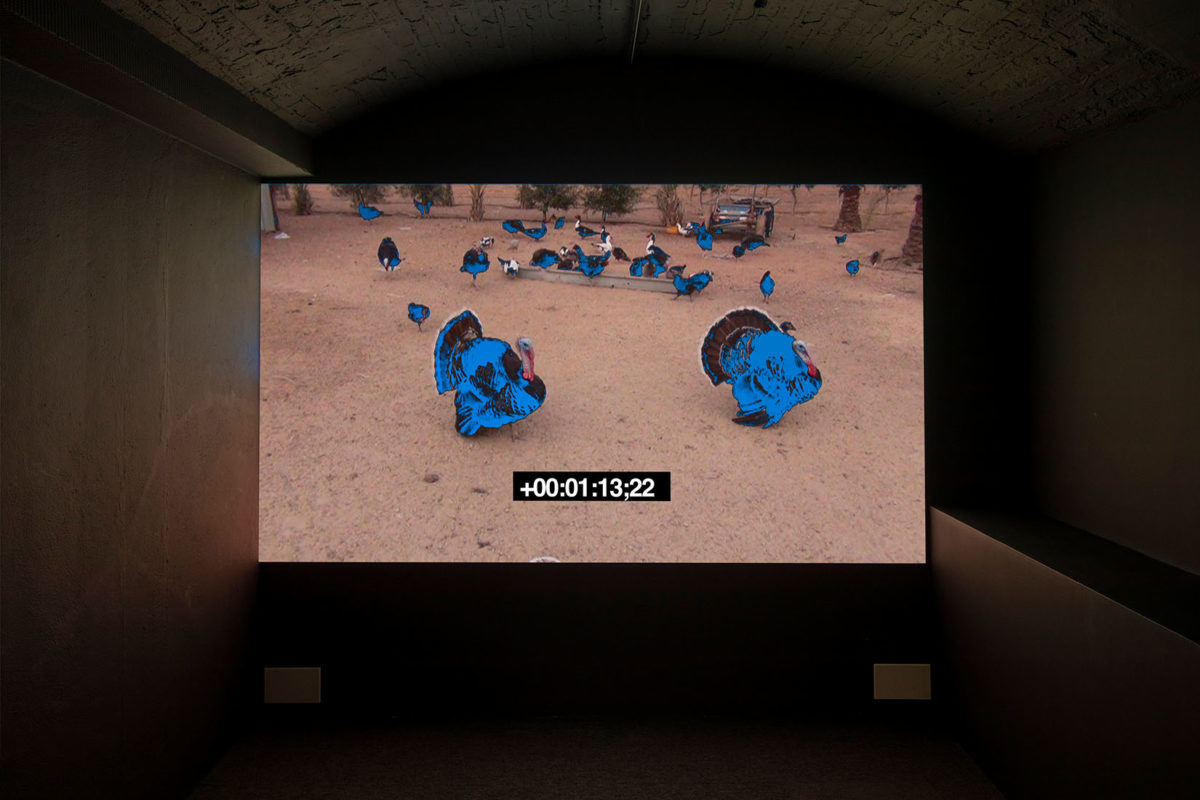 Stories From the City - Galerie Imane Farès