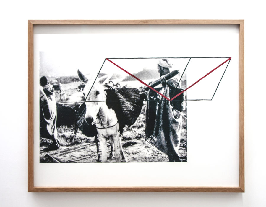 Illusion (3). Guerre du Maroc : ravitaillement en obus par mulet. Image de presse, 1925. Dessin : illusion de Ponzo, - Galerie Imane Farès