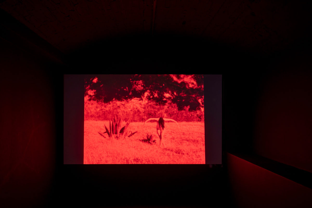 Songs from the Shore (chapitre 1) - Galerie Imane Farès