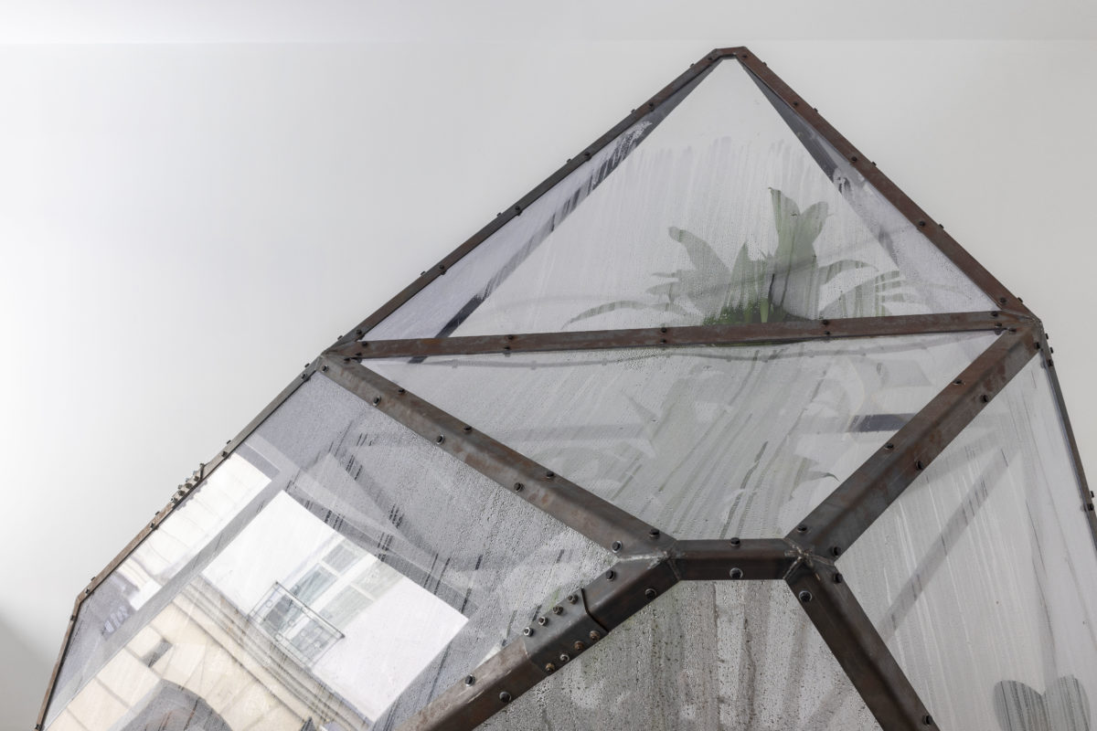 The King’s Order to Dance - Galerie Imane Farès