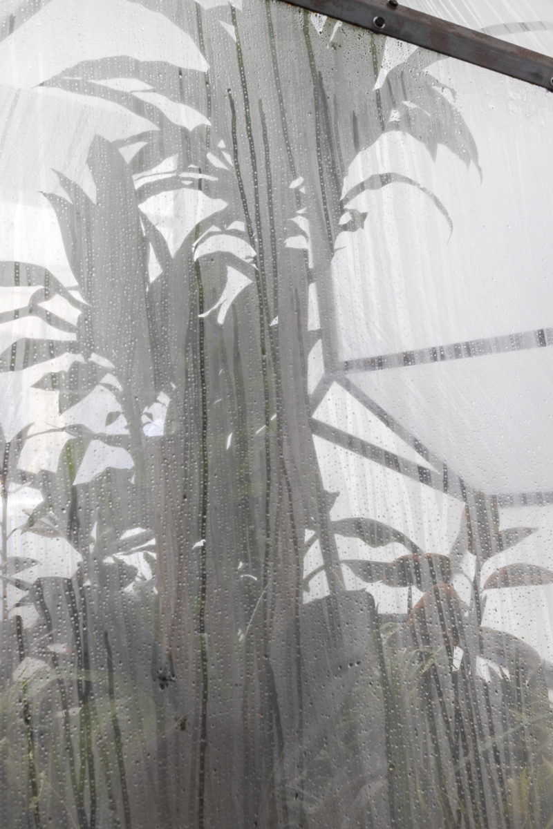 The King’s Order to Dance - Galerie Imane Farès