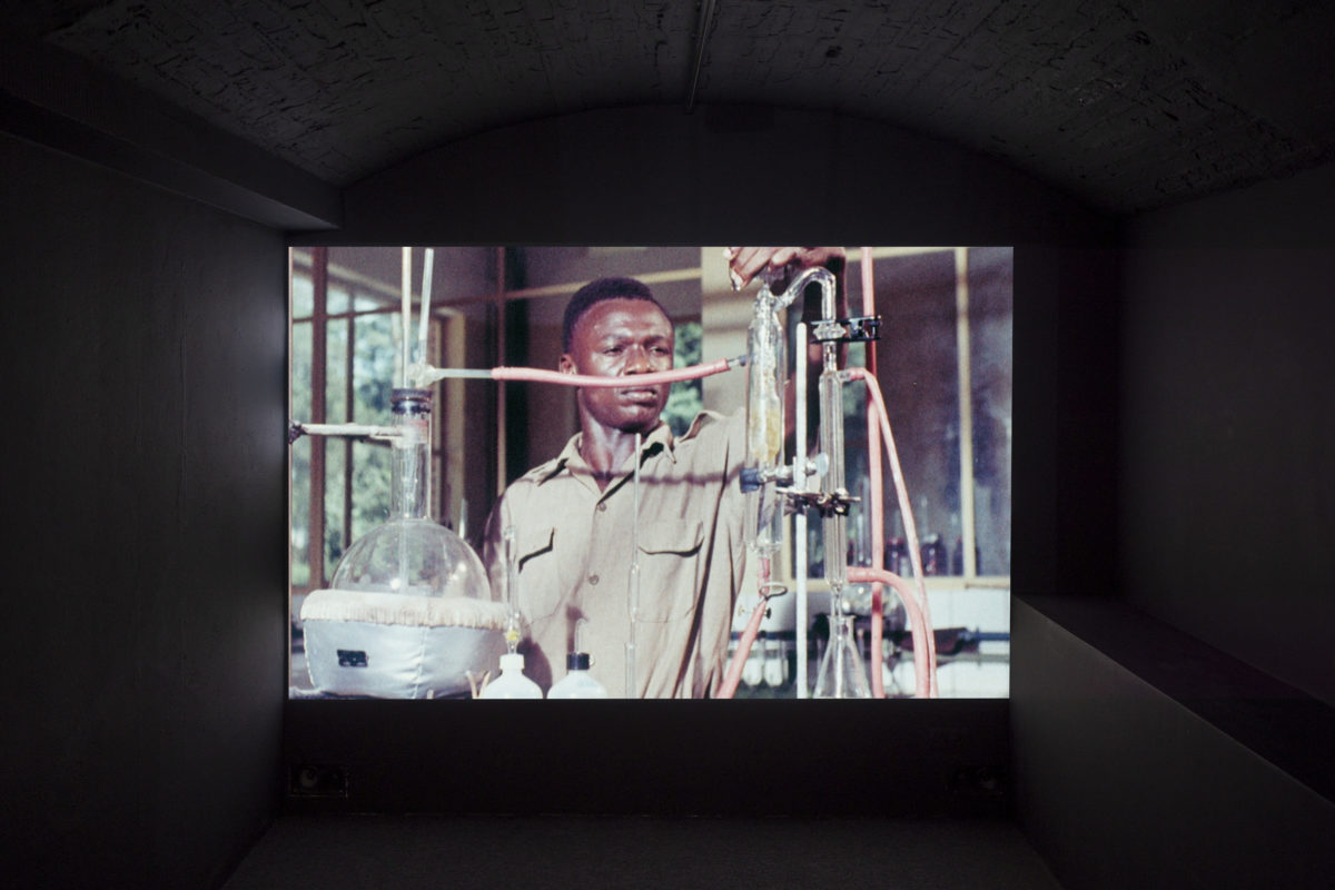 The King’s Order to Dance - Galerie Imane Farès