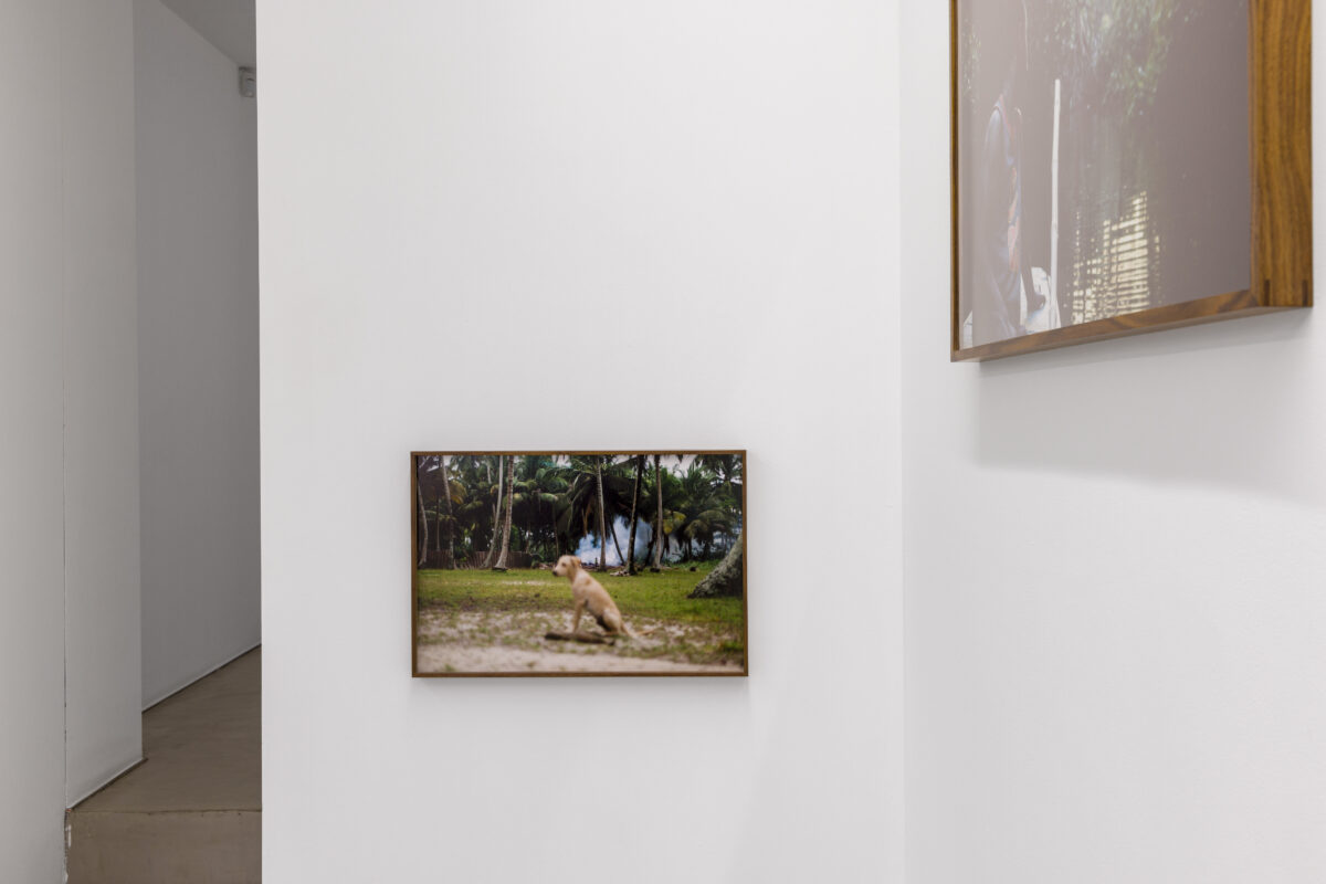 Gravity - Galerie Imane Farès