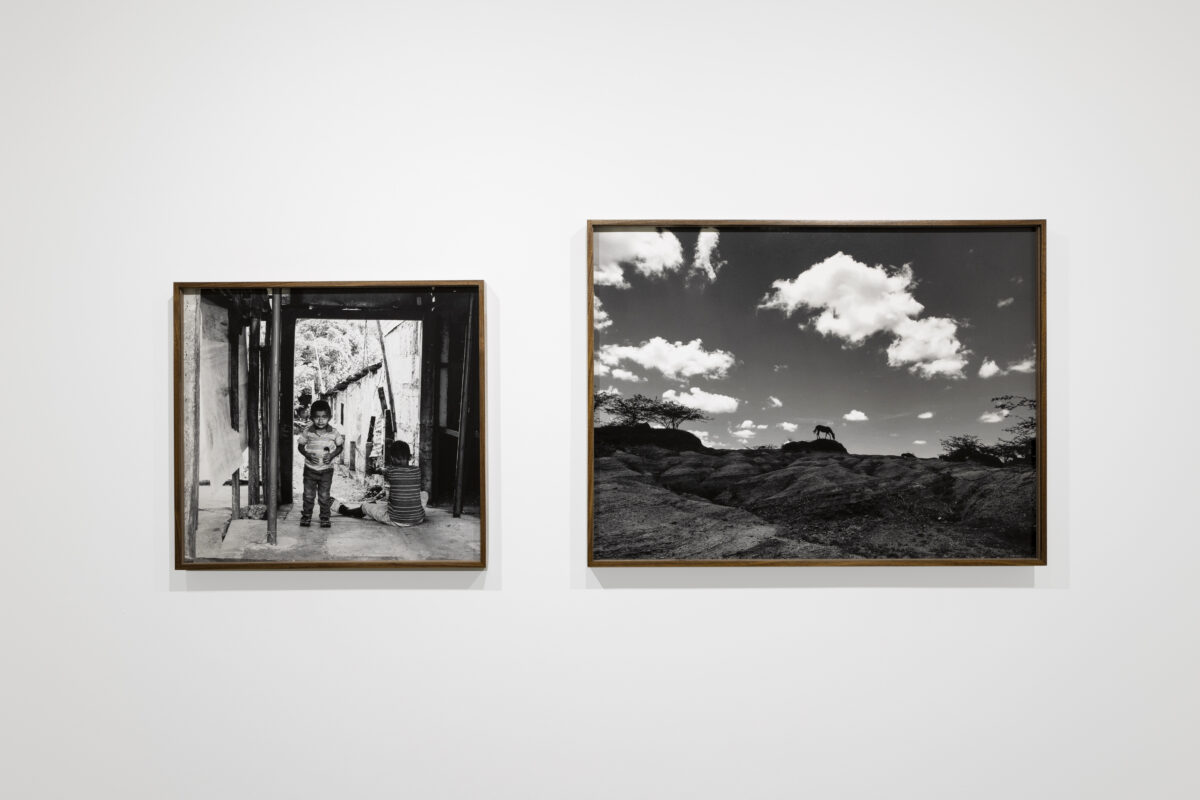 Gravity - Galerie Imane Farès