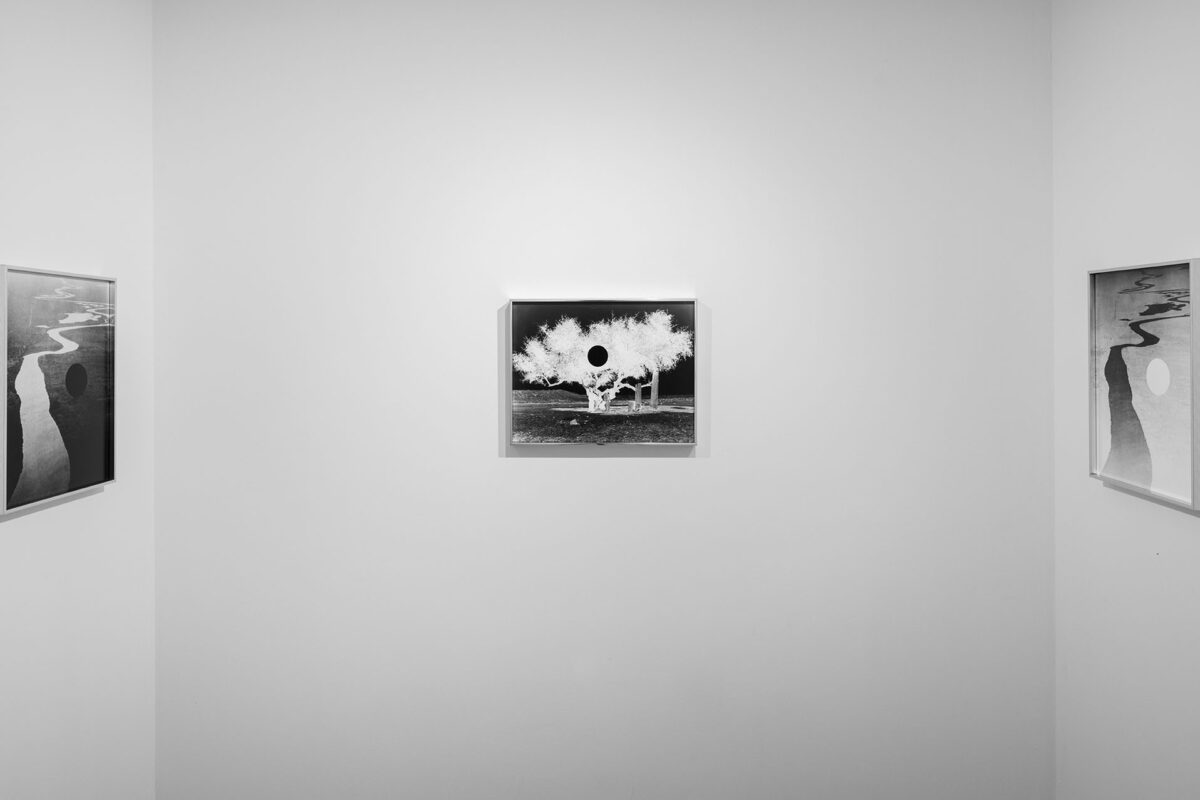 Semi-Nomadic Debt-Ridden Bedouins - Galerie Imane Farès