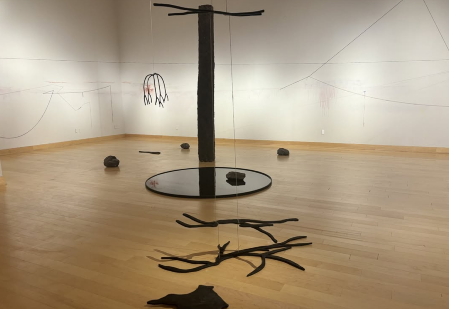 Réalisme magique : Imaginer la nature en dés/ordre - Galerie Imane Farès