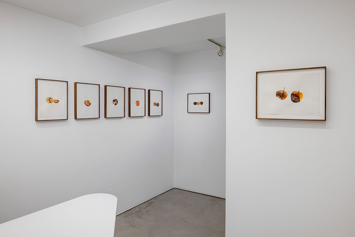 A Monument to Subtle Rot - Galerie Imane Farès