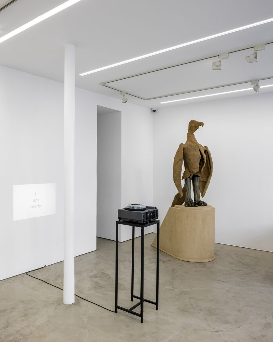 A Monument to Subtle Rot - Galerie Imane Farès