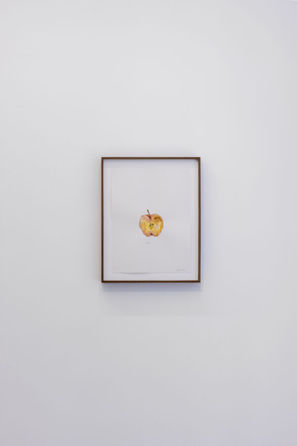 Ali Cherri - Galerie Imane Farès