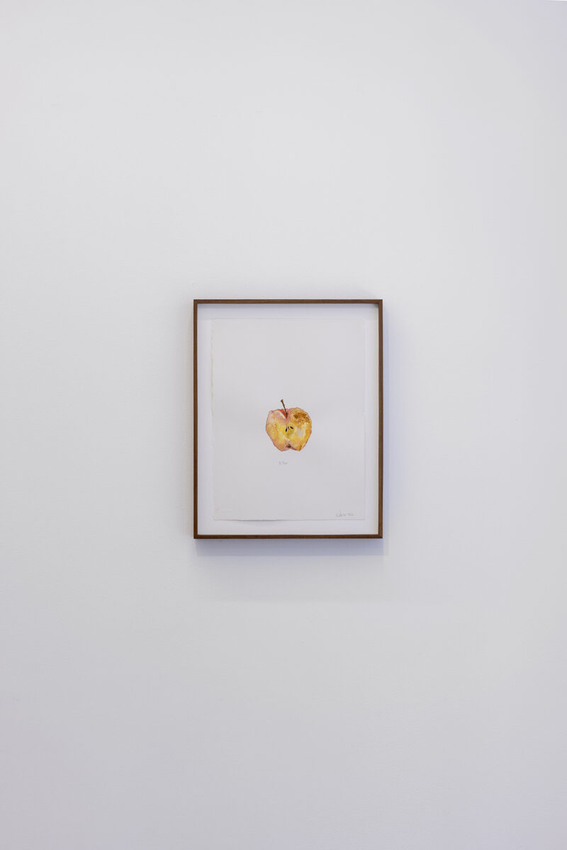 A Monument to Subtle Rot - Galerie Imane Farès