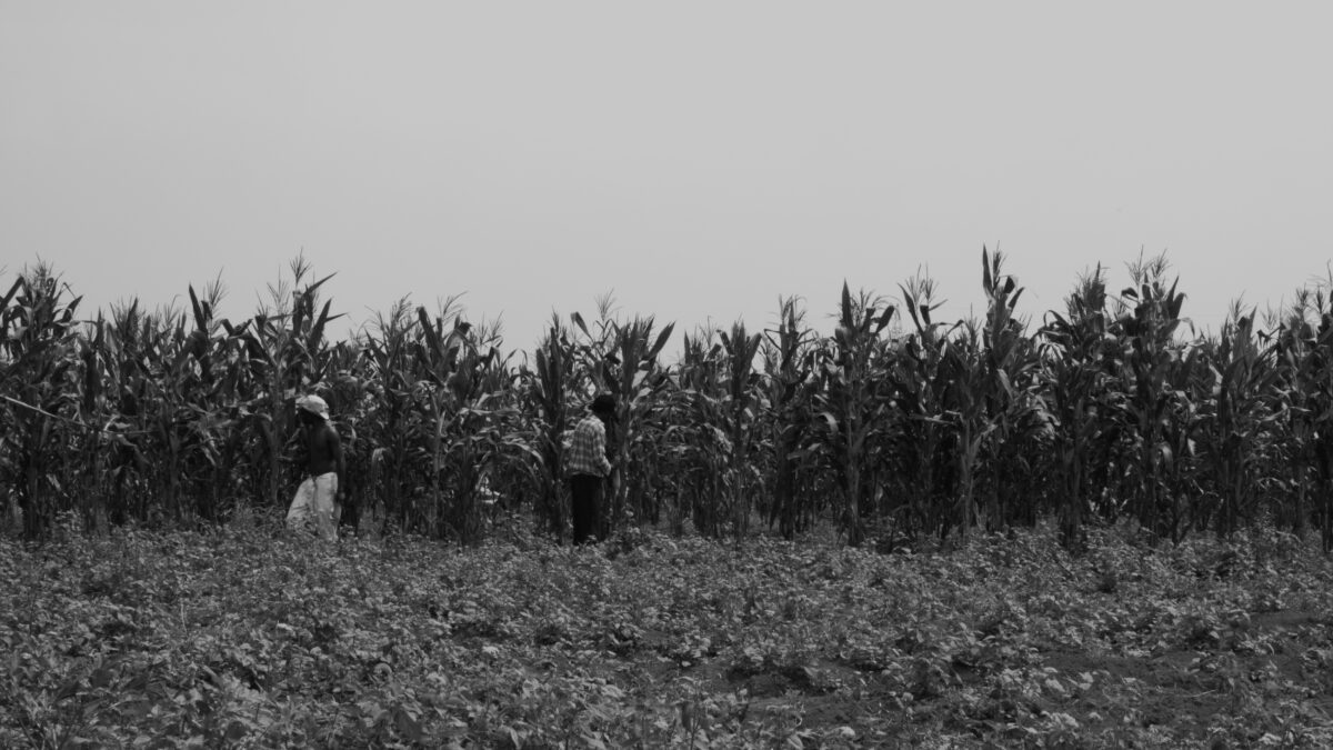 co-curated with Sammy Baloji - Galerie Imane Farès