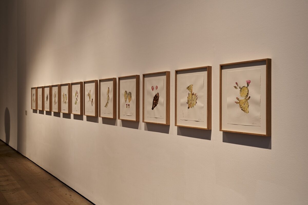 How I Am Monument - Galerie Imane Farès