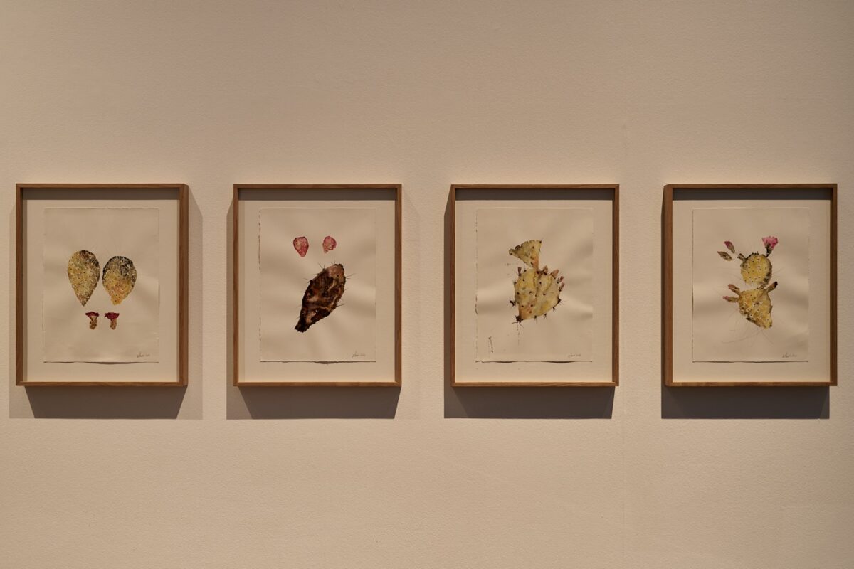 How I Am Monument - Galerie Imane Farès