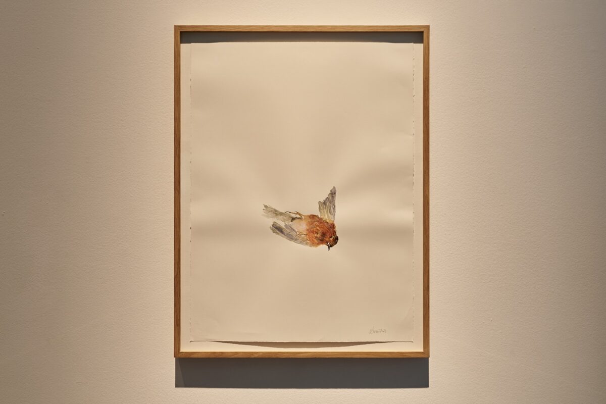 How I Am Monument - Galerie Imane Farès